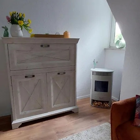 Sonnenhof - - Garten - Parken - Kueche - Netflix - Naehe Vaillant Und Sana-klinikum Apartment